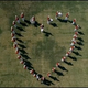 Image for article titled Valentine's Day Trailer Hits On Almost Every Possible Romantic Comedy Cliche